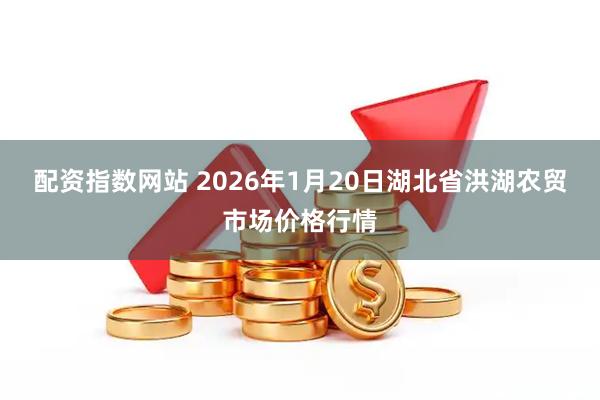 配资指数网站 2026年1月20日湖北省洪湖农贸市场价格行情