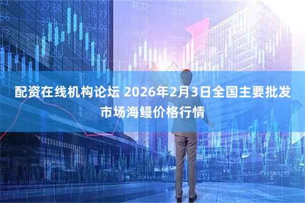 配资在线机构论坛 2026年2月3日全国主要批发市场海鳗价格行情